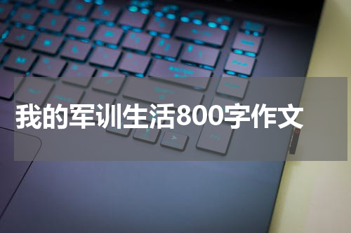我的军训生活800字作文
