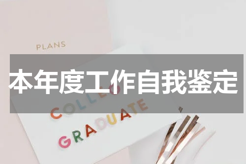 本年度工作自我鉴定