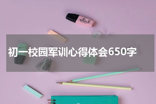 初一校园军训心得体会650字