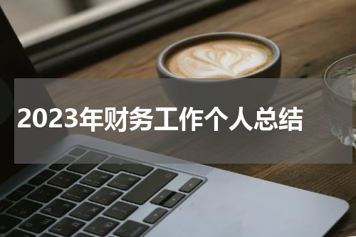 2023年财务工作个人总结