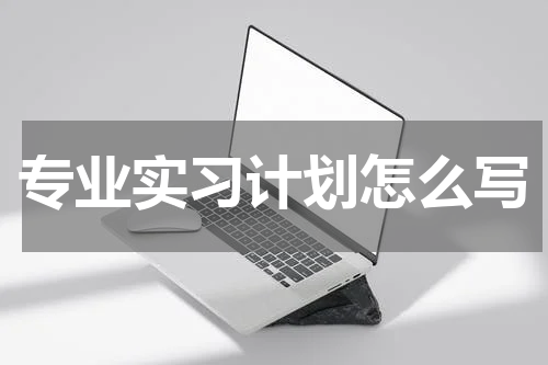 专业实习计划怎么写