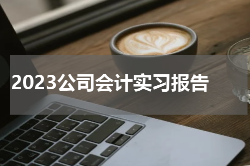 2023公司会计实习报告