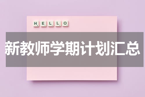 新教师学期计划汇总
