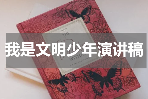 我是文明少年演讲稿