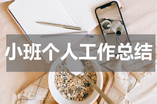 小班个人工作总结