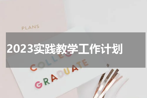 2023实践教学工作计划