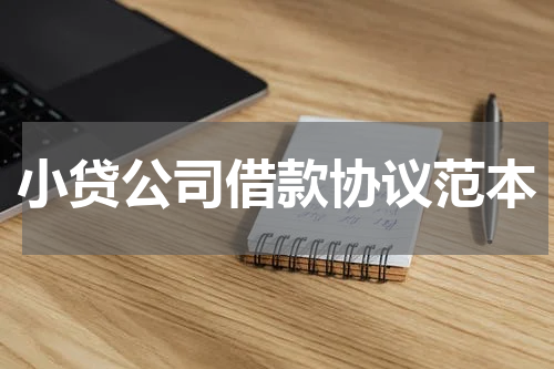 小贷公司借款协议范本