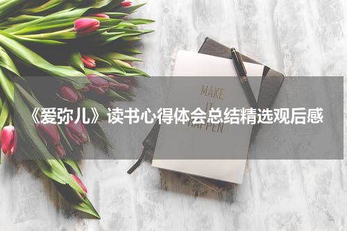 《爱弥儿》读书心得体会总结精选观后感