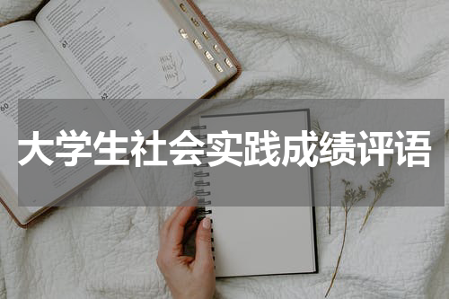 大学生社会实践成绩评语