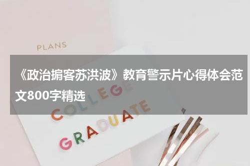 《政治掮客苏洪波》教育警示片心得体会范文800字精选
