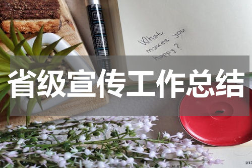 省级宣传工作总结