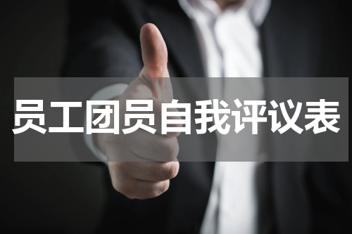员工团员自我评议表