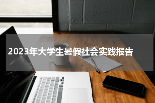 2023年大学生暑假社会实践报告