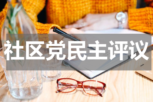 社区党民主评议