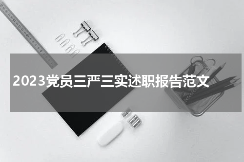 2023党员三严三实述职报告范文