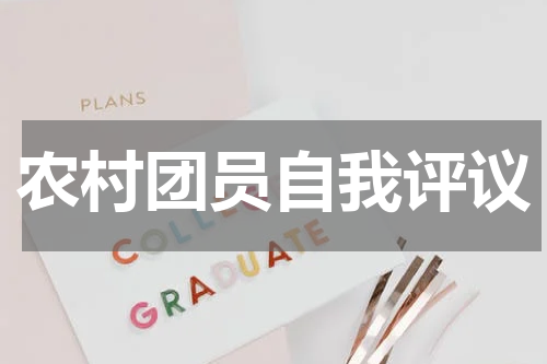 农村团员自我评议