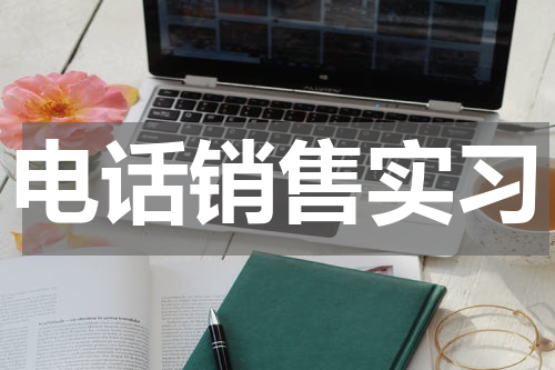 电话销售实习