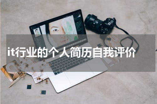 it行业的个人简历自我评价