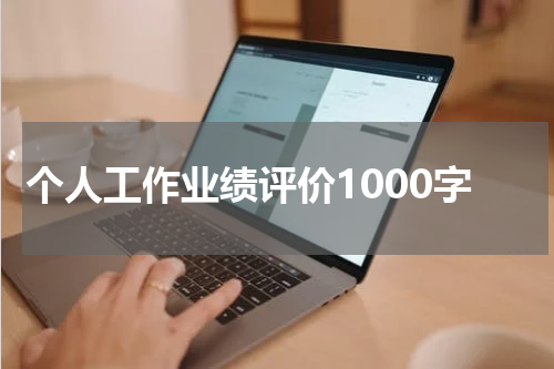 个人工作业绩评价1000字