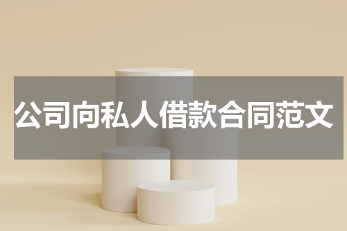 公司向私人借款合同范文
