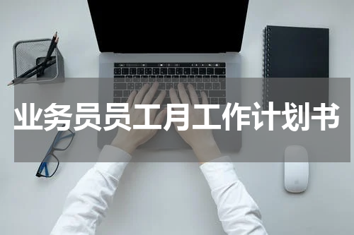 业务员员工月工作计划书