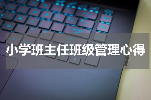 小学班主任班级管理心得