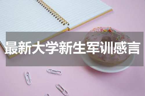 最新大学新生军训感言