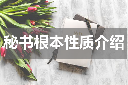 秘书根本性质介绍