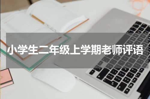 小学生二年级上学期老师评语