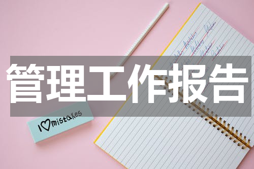 管理工作报告