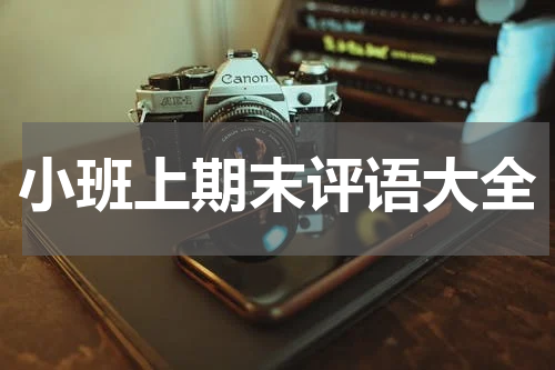 小班上期末评语大全