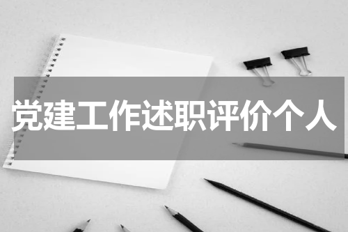 党建工作述职评价个人