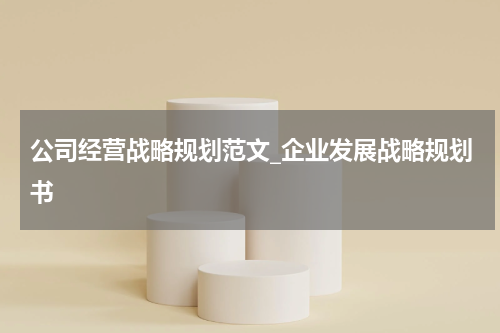 公司经营战略规划范文_企业发展战略规划书
