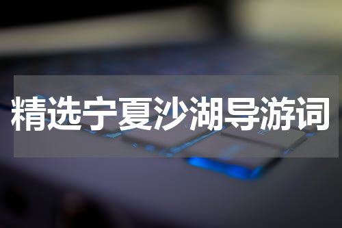 精选宁夏沙湖导游词