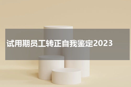 试用期员工转正自我鉴定2023