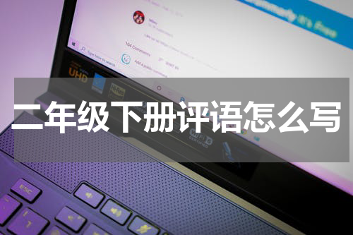 二年级下册评语怎么写