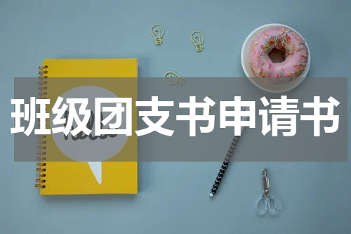 班级团支书申请书
