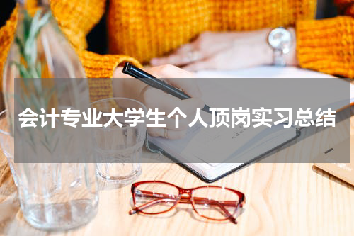 会计专业大学生个人顶岗实习总结