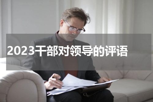 2023干部对领导的评语