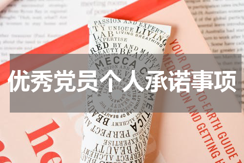 优秀党员个人承诺事项