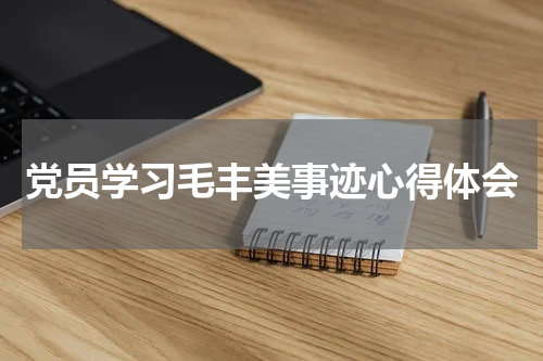 党员学习毛丰美事迹心得体会