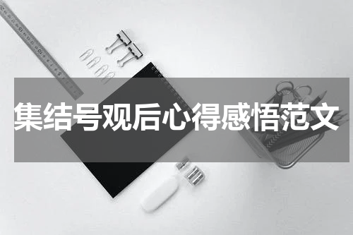 集结号观后心得感悟范文