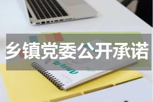 乡镇党委公开承诺