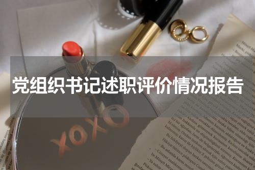 党组织书记述职评价情况报告