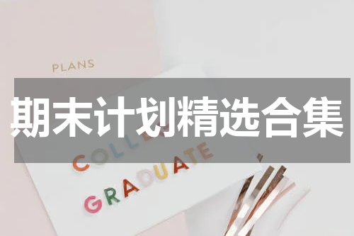期末计划精选合集