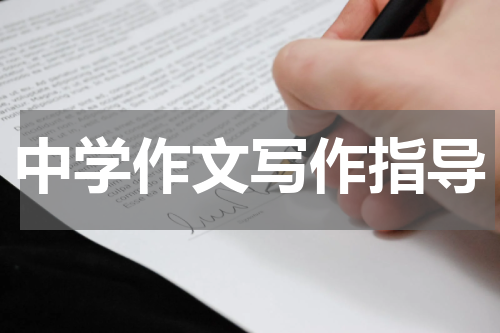 中学作文写作指导