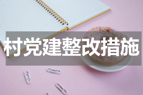 村党建整改措施