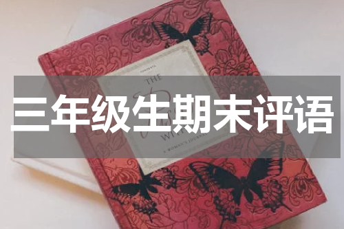 三年级生期末评语