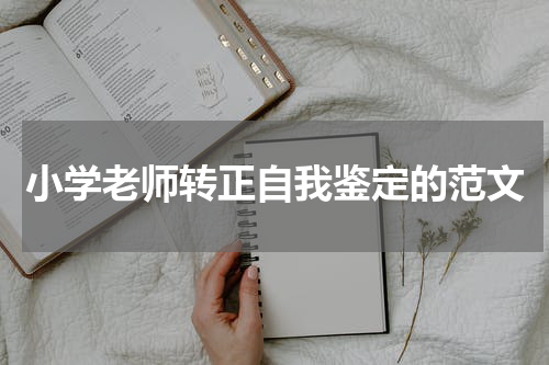 小学老师转正自我鉴定的范文