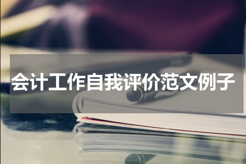 会计工作自我评价范文例子